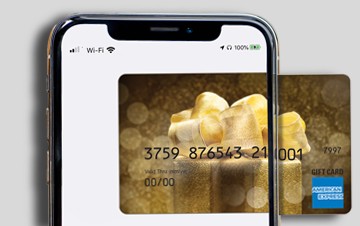 eGift Card Feature